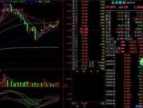 股指期货最新爆料,市场风云再起