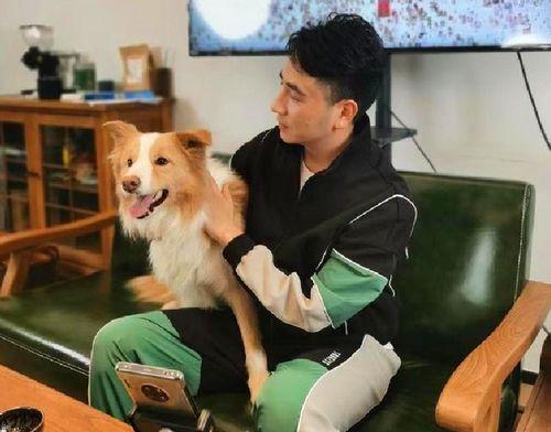 林生斌最新爆料小视频,事件背后惊人真相